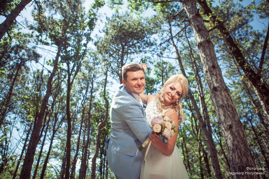 Wedding photographer Vladimir Nosulenko (mastervova). Photo of 15 July 2015