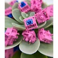 Sp - Star Blue Pink Switch (98) - Công Tắc Bàn Phím Cơ