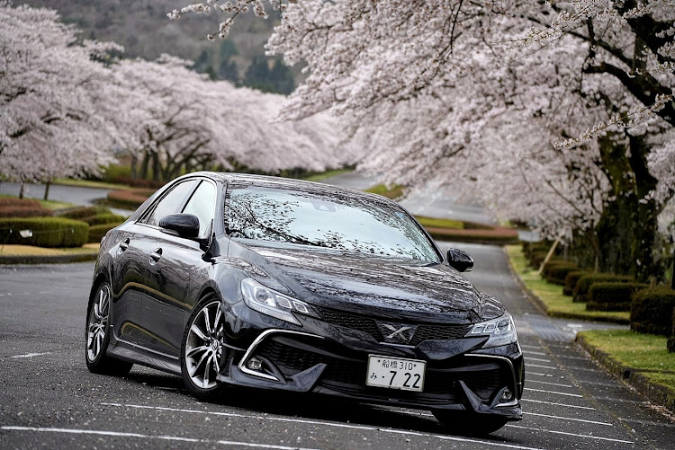 マークXのサクラと愛車・桜とコラボ・桜吹雪・富士霊園・さくら色に関するカスタム事例の投稿画像5枚目