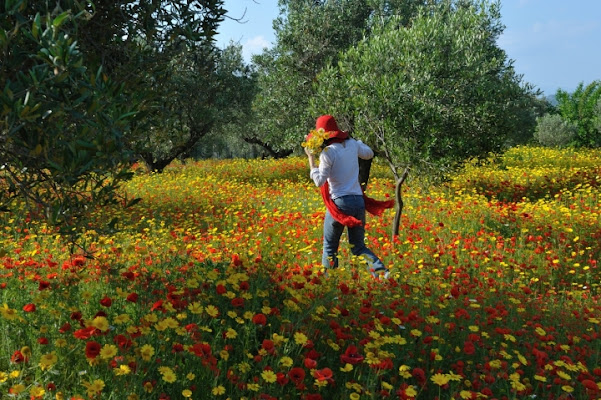 La donzelletta vien dalla campagna.... di leonardo valeriano