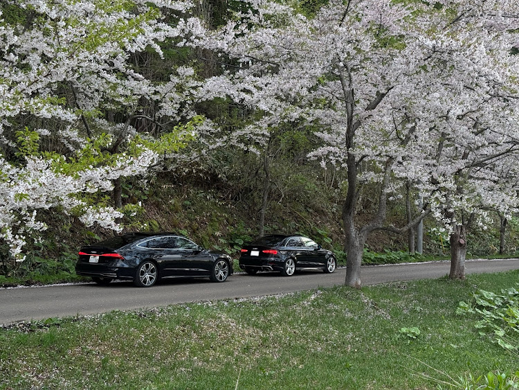 A7 スポーツバックのオフ会・ドライブ・桜コラボ🌸・撮影スポット・RS3セダンに関するカスタム事例の投稿画像3枚目