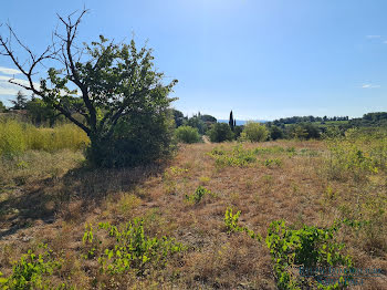 terrain à batir à Montpeyroux (34)