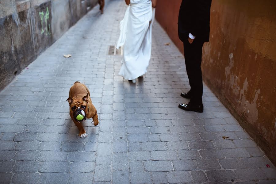 Fotografo di matrimoni Alejandro Crespi (alejandrocrespi). Foto del 31 agosto 2016