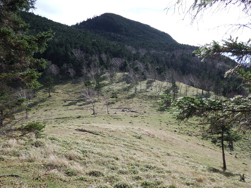 樹林帯を抜けると草原に