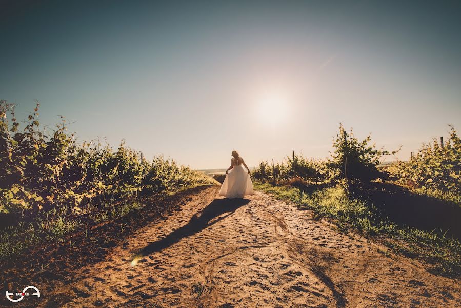 Fotógrafo de bodas Attila Tar (attila). Foto del 10 de junio 2017