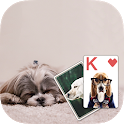 Solitaire Cute Puppies Theme icon