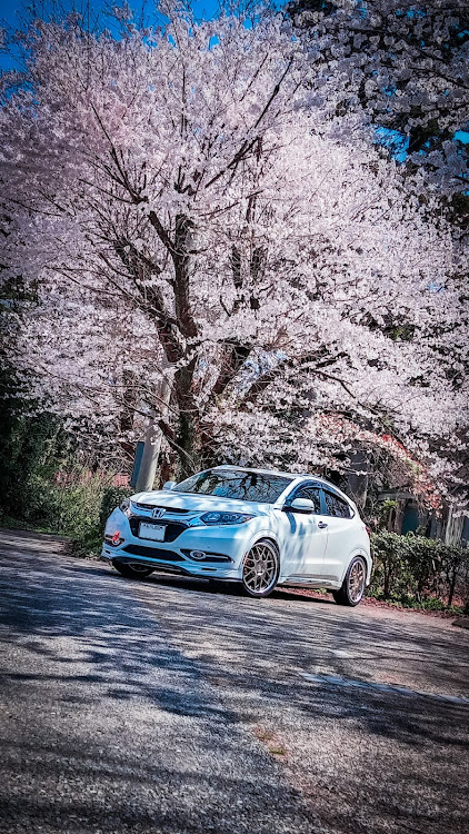 ヴェゼルの桜とコラボ・クルマのある風景・VEZEL・目指せPickUpCars・トレッドウェアに関するカスタム事例の投稿画像1枚目