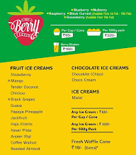 Vadilal Ice Cream menu 1