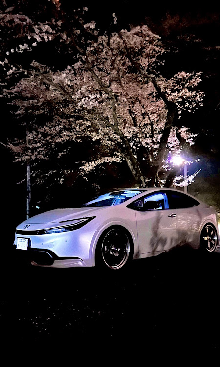 プリウスの60プリウス・春ですね・夜桜・SSR・雨☔️は、やだな。に関するカスタム事例の投稿画像1枚目