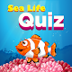 Download Sea Life Quiz - Quiz for kids For PC Windows and Mac 1.0