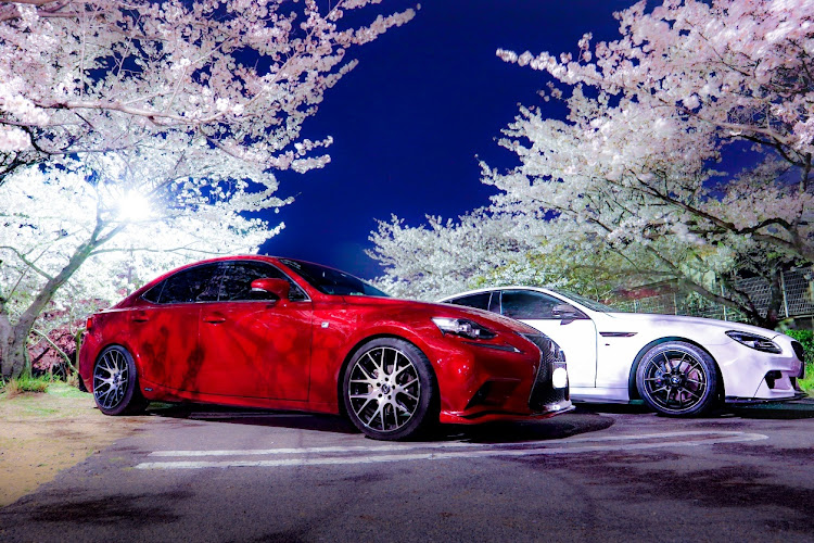 6シリーズ グランクーペの桜と愛車・コラボ撮影・コロナ終息祈願🙏・ORANGE LINK・カメ活準備運動に関するカスタム事例の投稿画像6枚目