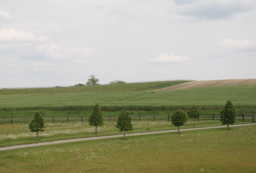  Vente Terrain à bâtir - à Saint-Hilaire-Saint-Florent (49400) 