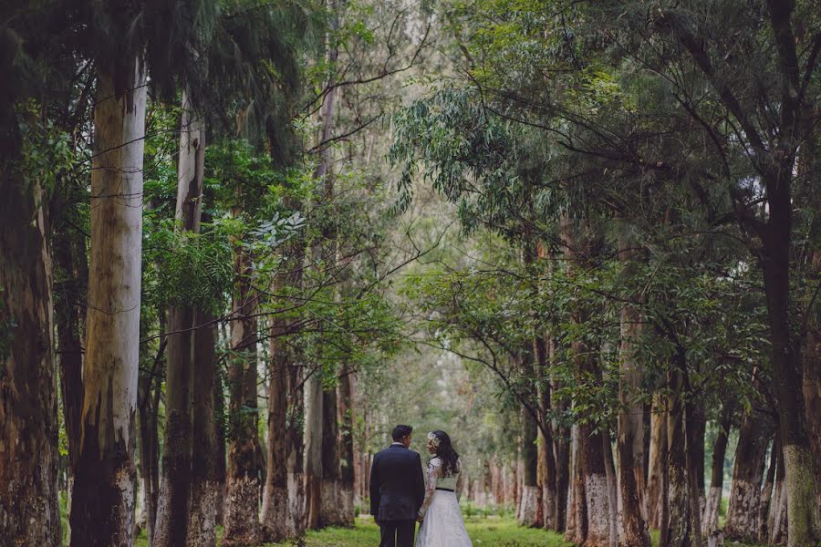 Fotografo di matrimoni Paloma Mejia (mejia). Foto del 26 agosto 2016