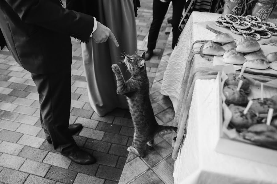 Wedding photographer Vladimir Pchela (pchela). Photo of 28 September 2016