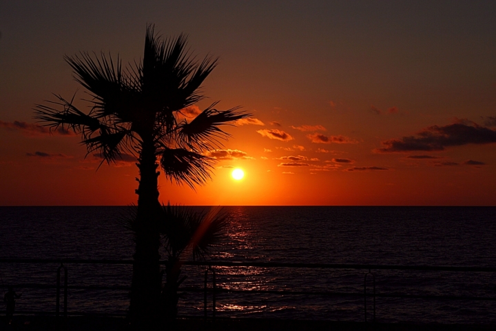 Palma al tramonto di Tikotako