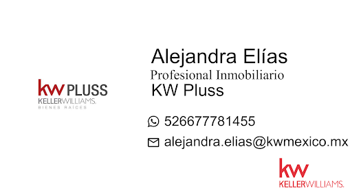 Business Card agent