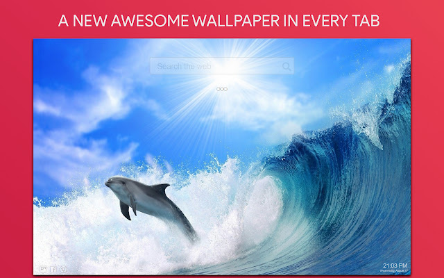 Dolphin Wallpaper HD Custom New Tab