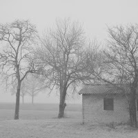 Nebbia affascinante e misteriosa di 