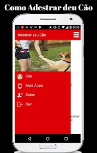 Como Adestrar seu Cão - náhled