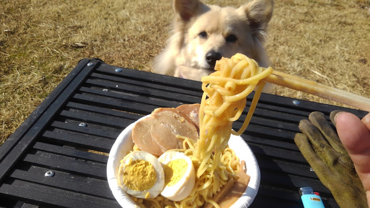 ハイゼットデッキバンのアウトドアランチ☀️🍴に関するカスタム事例の投稿画像8枚目