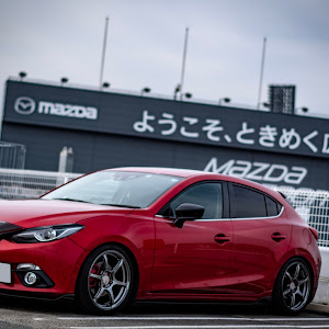 アクセラスポーツ BM2FS