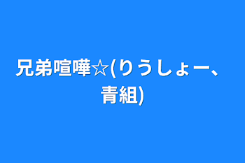 兄弟喧嘩☆(りうしょー、青組)