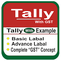 Tally Erp.9 Full Course In Hindi  Tally With GST