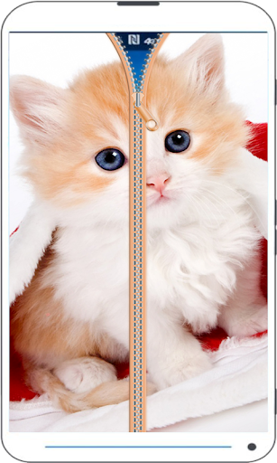 Cat Zipper Screen Lock