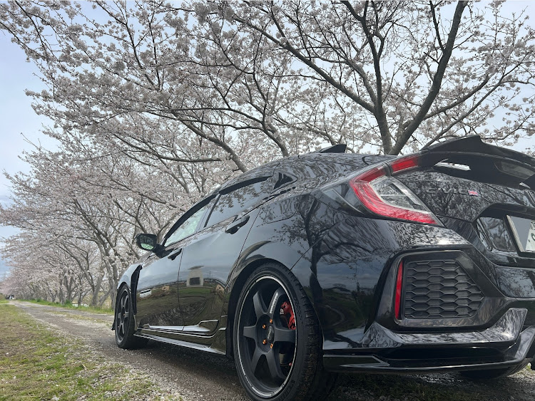 シビック(欧州HB)のサクラと愛車・4月もよろしくお願い致します🌸・桜とコラボ・FK7乗りと繋がりたいに関するカスタム事例の投稿画像2枚目