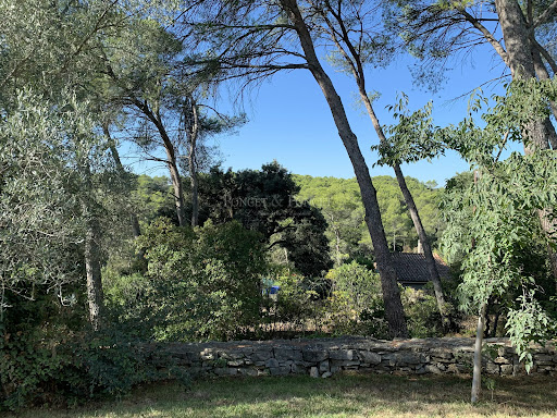 Maison avec piscine et jardin 5