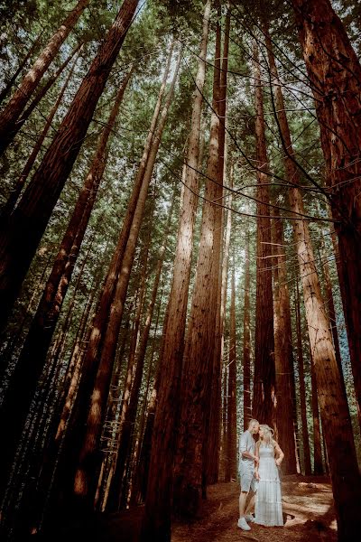 Fotógrafo de casamento Mihai Lica (lica). Foto de 14 de novembro 2019