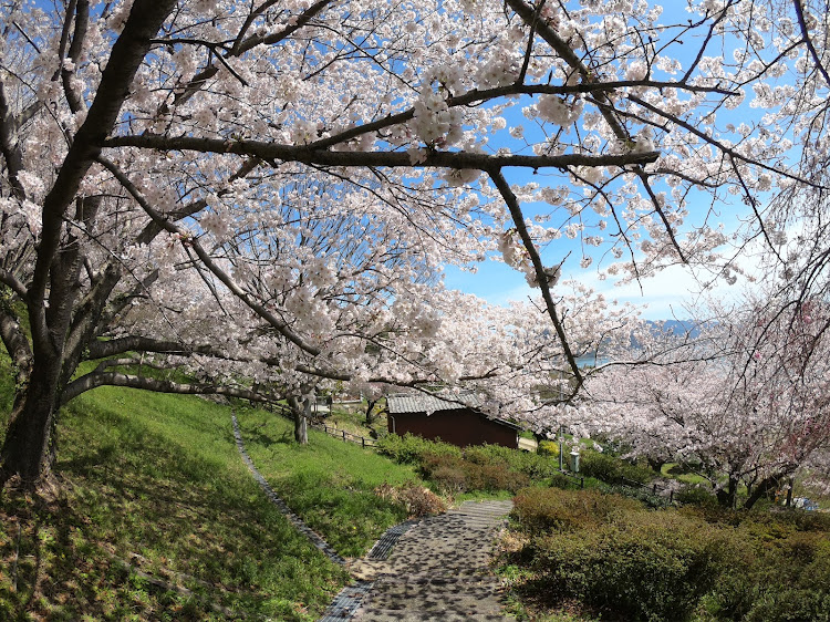 の投稿画像2枚目