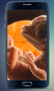 How to install Embryo Dragon Live Wallpaper 3.0 unlimited apk for pc