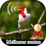 Cover Image of Download Melhores cantos de galo de campina 1.2 APK