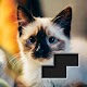 Download Block Square Jigsaw Puzzle For PC Windows and Mac