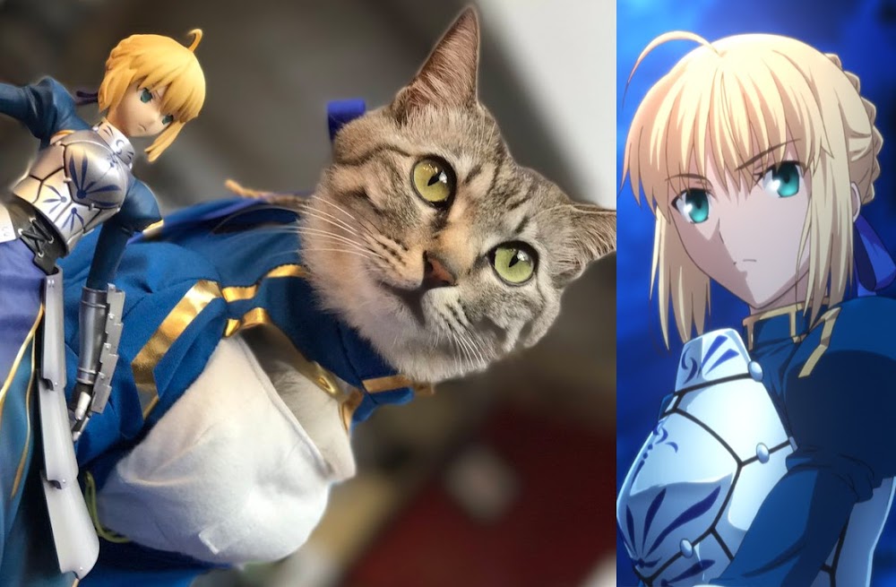 Una gata realizó un Cosplay de Saber, los fans japoneses quedan asombrados y es tendencia en Twitter