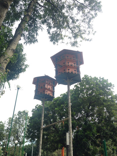 Rumah Burung Doro