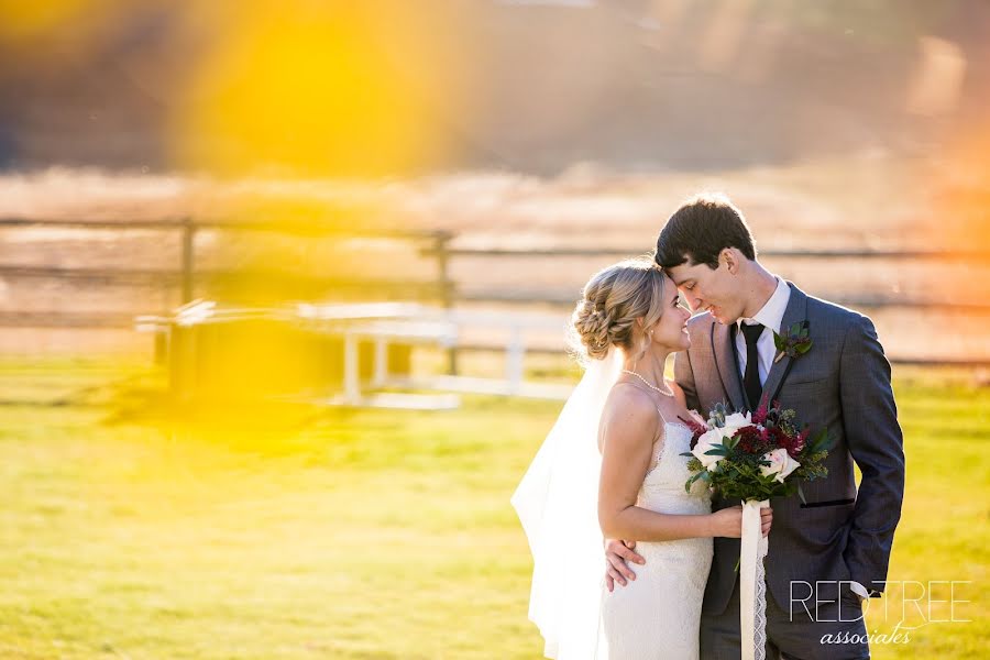 Fotógrafo de casamento Amy Moedt (amymoedt). Foto de 9 de maio 2019