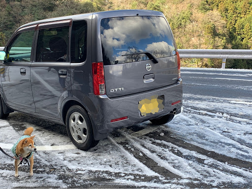 オッティ H92wの雪景色 愛犬と一緒に 寒い 積雪路走行慣れてない ラジアルタイヤやしに関するカスタム メンテナンスの投稿画像 車のカスタム情報はcartune