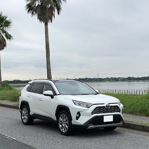 RAV4 MXAA54