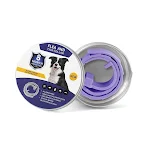 Purple-63cm