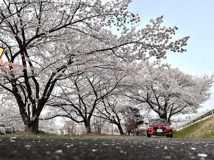 の投稿画像1枚目