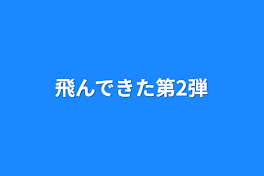 飛んできた第2弾