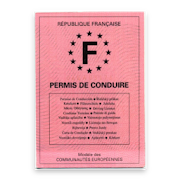 French Driving License Pro MOD