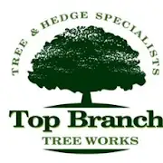 Top Branch Tree Works Logo