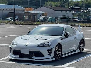 リアメンバーカラーに関するカスタム ドレスアップ情報 14 件 車のカスタム情報はcartune