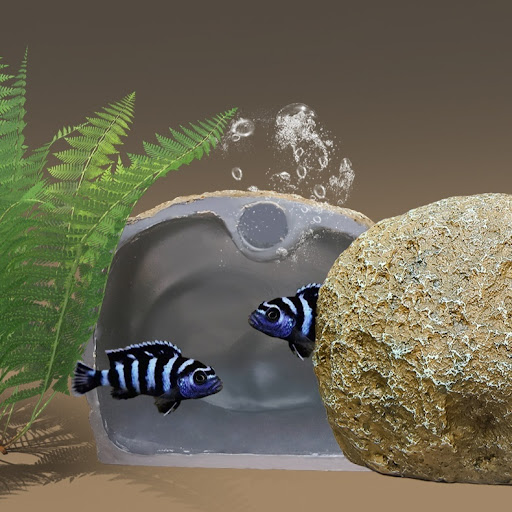 Title 2, Fish Tank Magnetic Shelter Ornaments Provide yo...