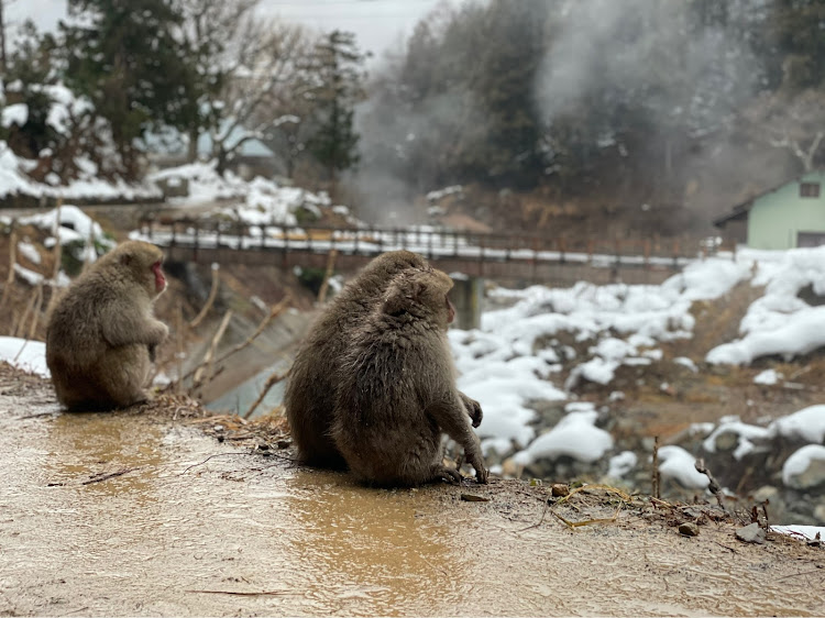 の投稿画像3枚目