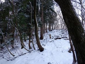 鹿の足跡を追って