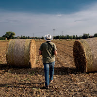 La terra il fieno e il fotografo. di 